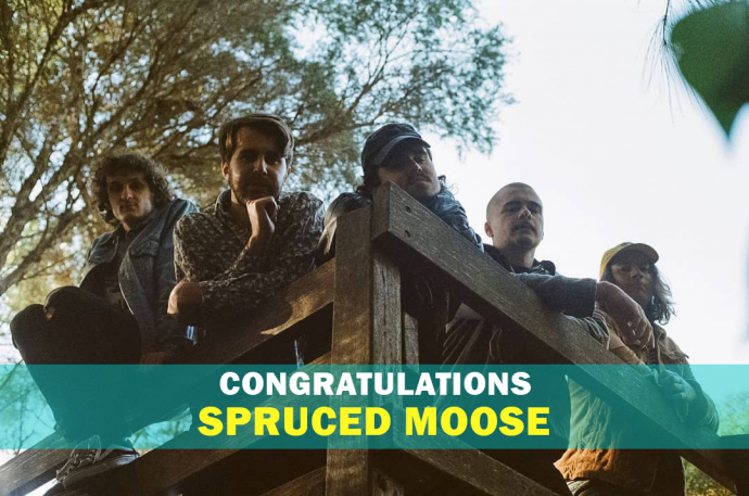 Spruced moose