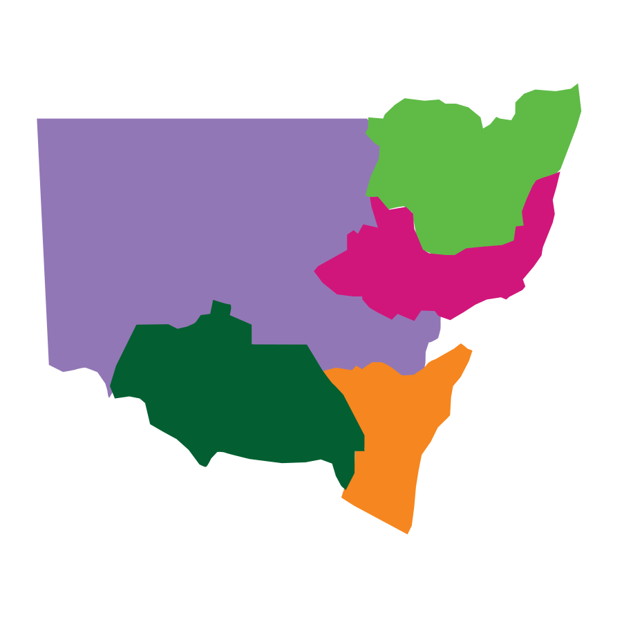 Map of Regional NSW divided into five sections by purple, light green, fuchsia,dark green and orange.